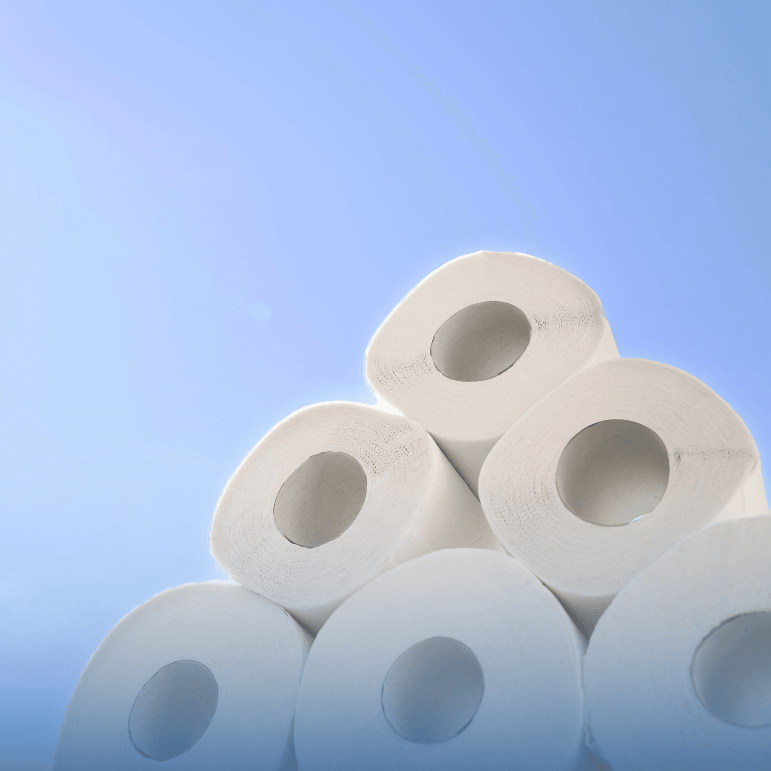 Rollos de Papel