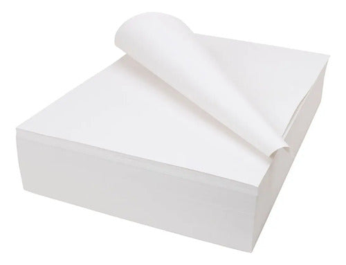 Papel Sulfito en Hojas Caja 8kg 50cm x 65cm
